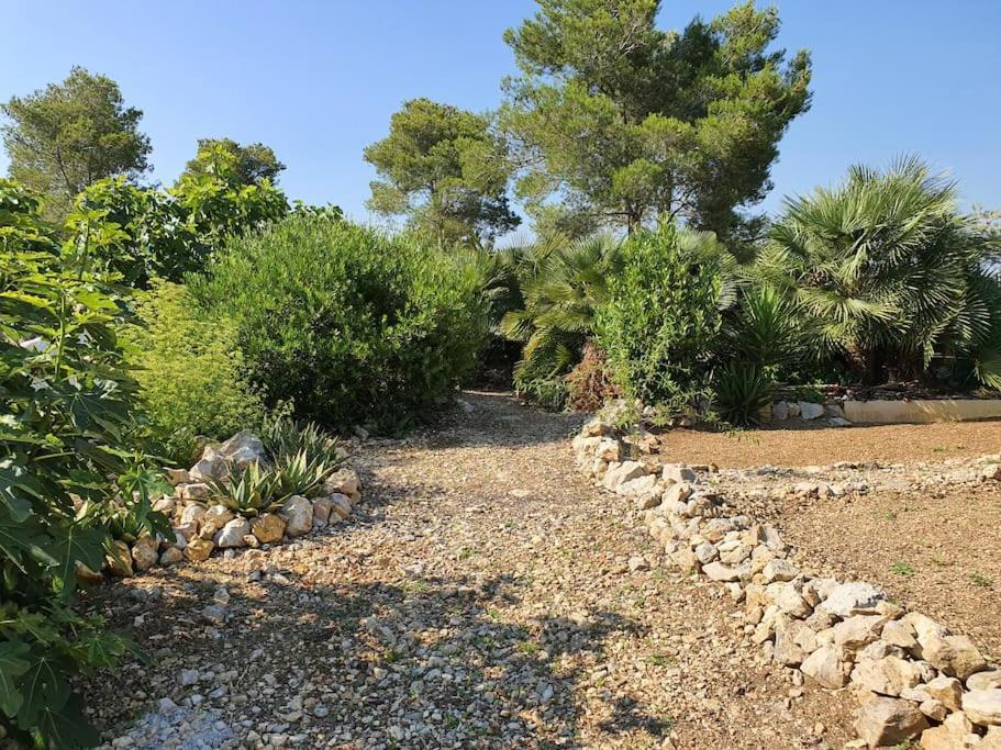 Le Petit Paradis Olivella Kültér fotó