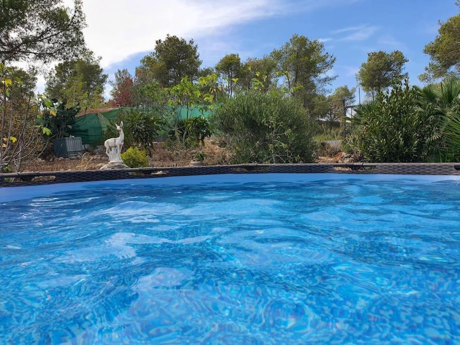 Le Petit Paradis Olivella Kültér fotó